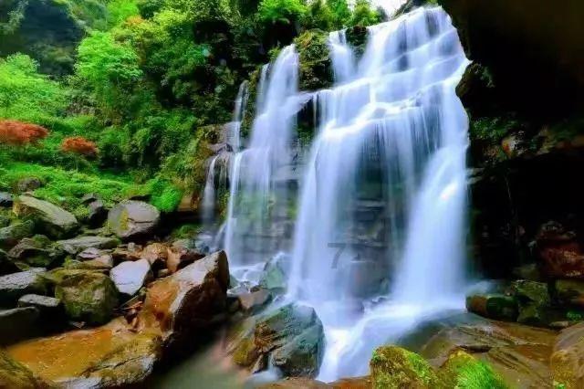 探索知识星球,加入银川一景区“离地五米处现骨灰盒”,官方对此事是如何回应的?互动社区